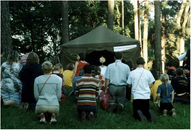 Image-23.jpg