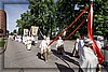 _MG_8790.jpg