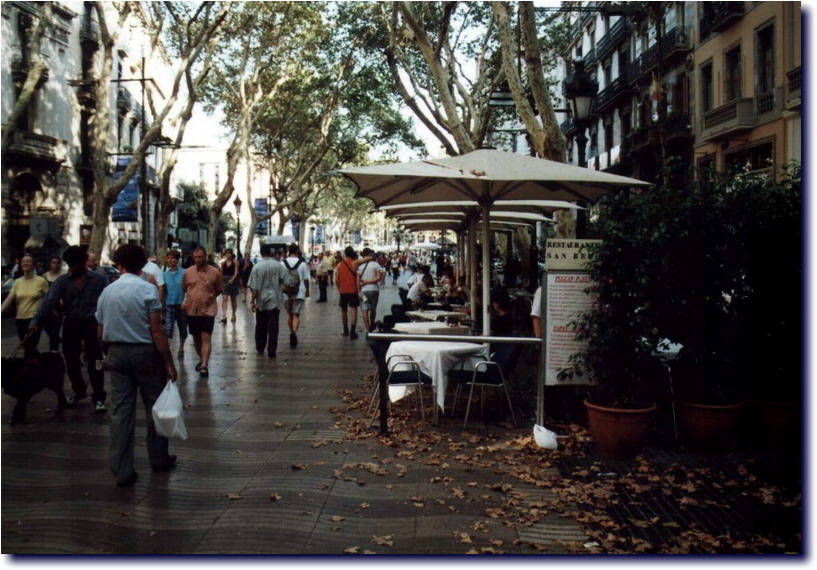 Image-110.jpg