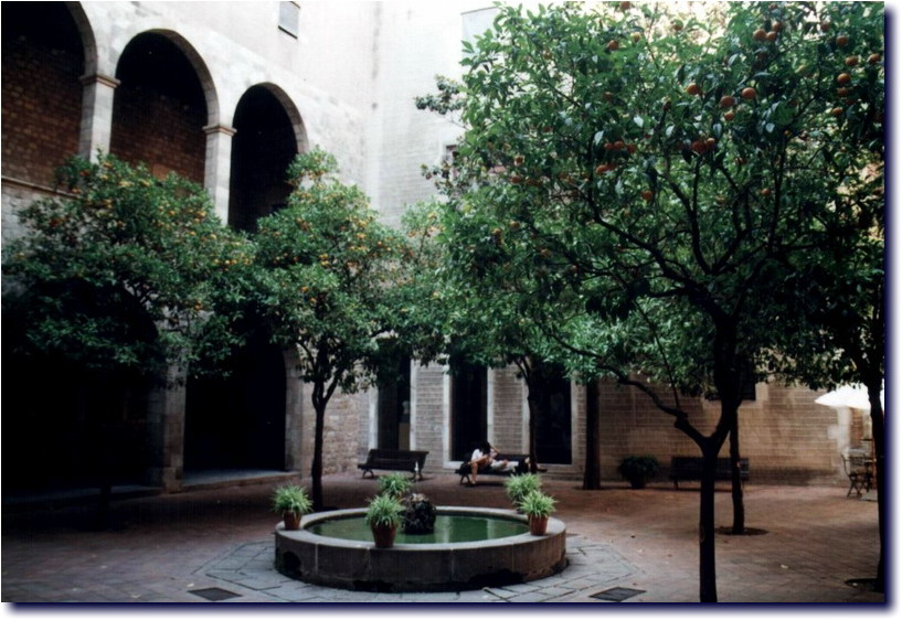 Image-114.jpg