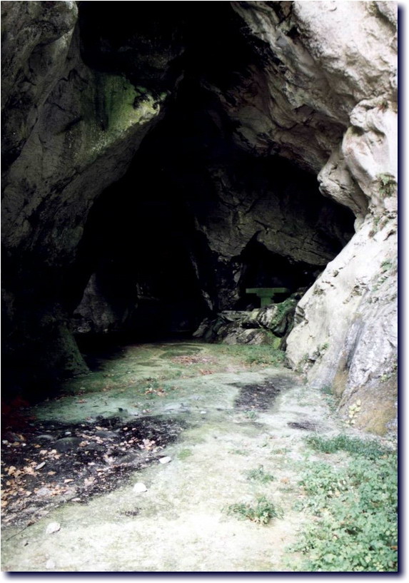 Image-133.jpg