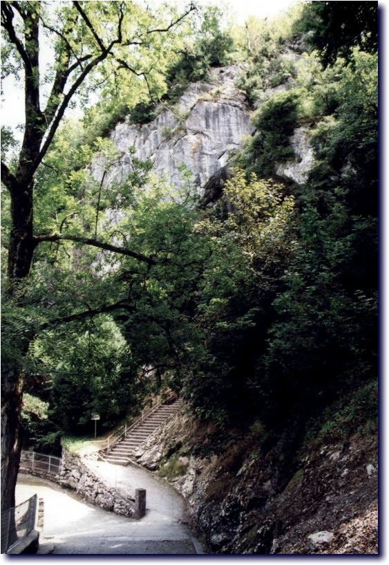 Image-134.jpg