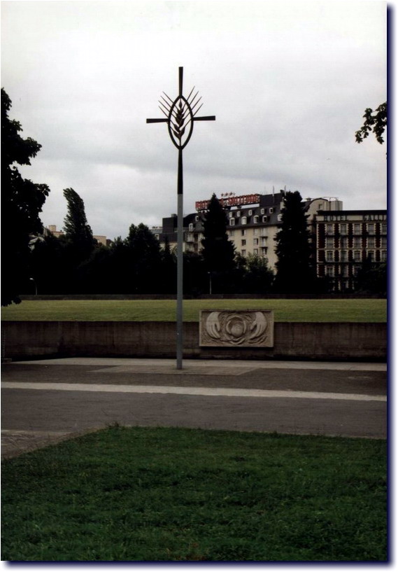Image-138.jpg