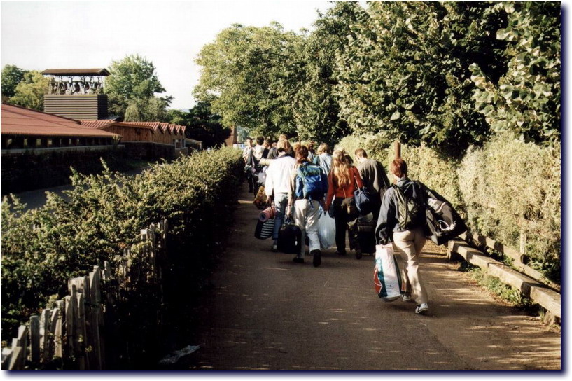 Image-159.jpg