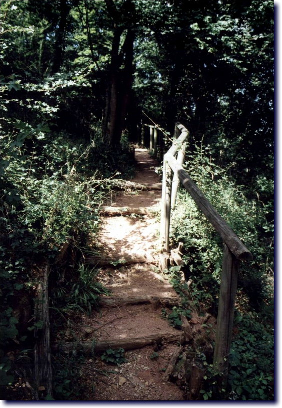Image-171.jpg