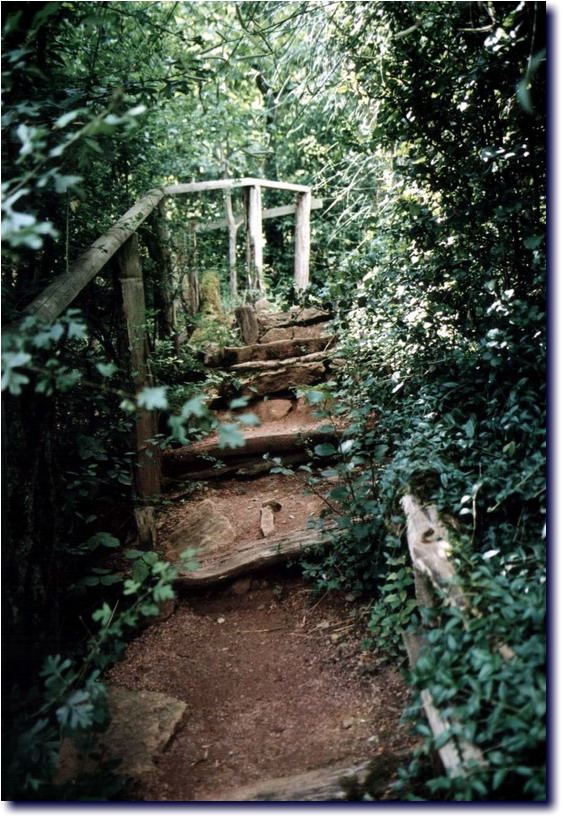 Image-172.jpg