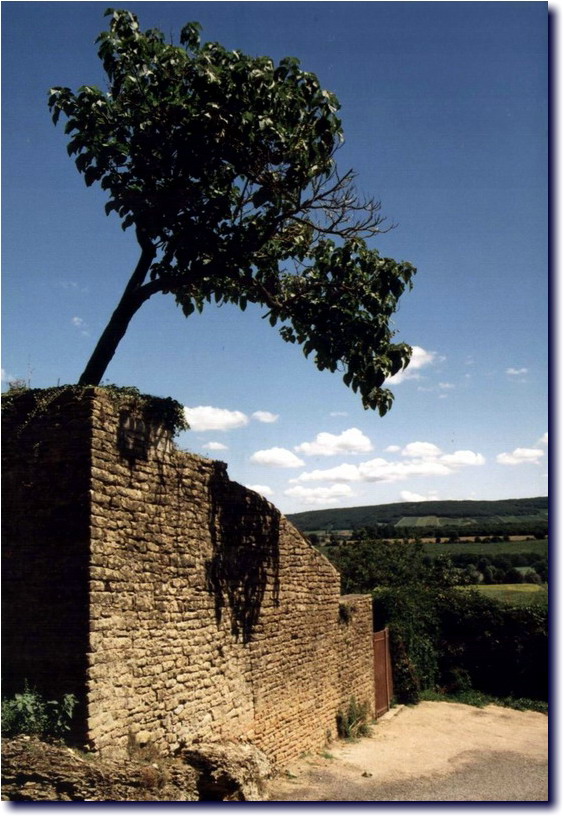 Image-173.jpg