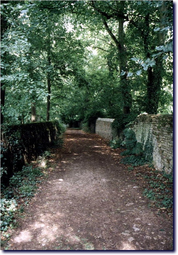 Image-174.jpg