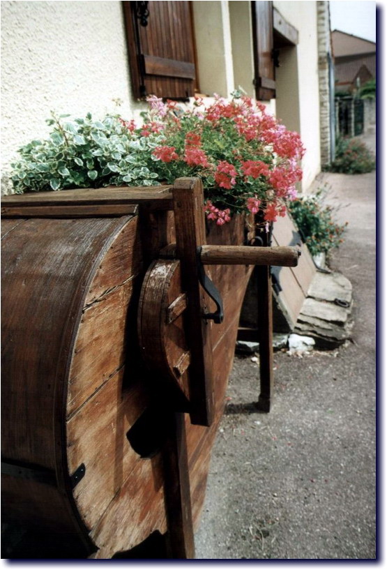 Image-186.jpg