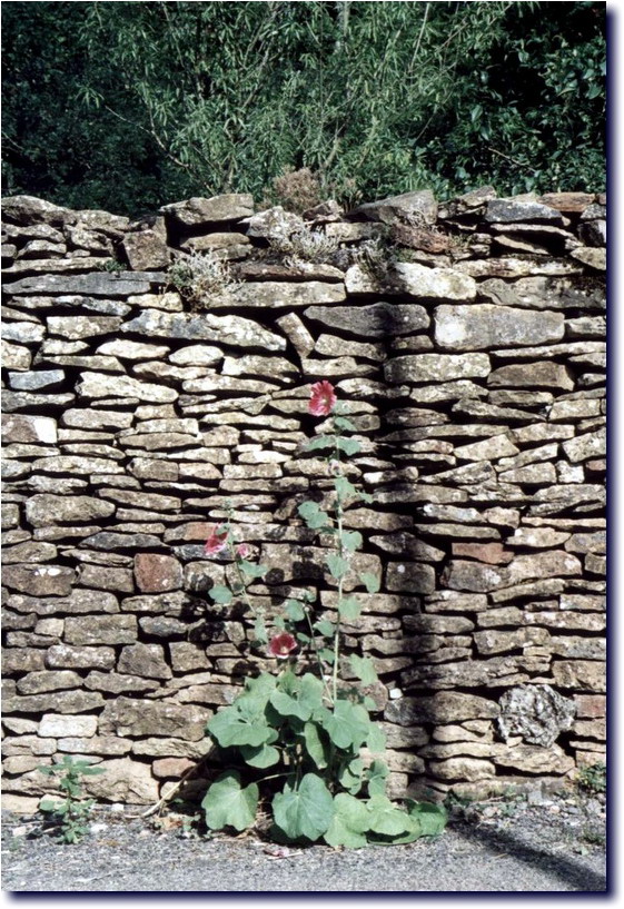 Image-187.jpg