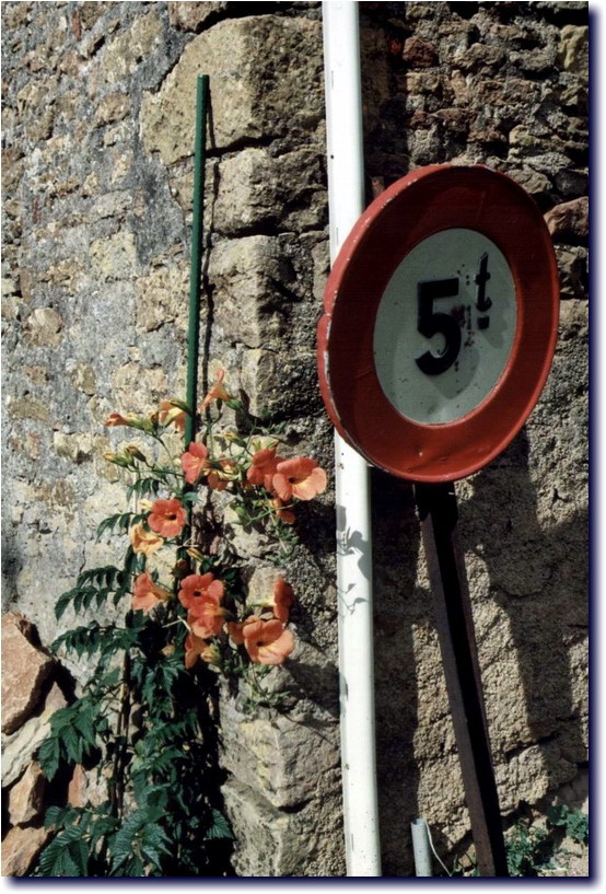 Image-188.jpg