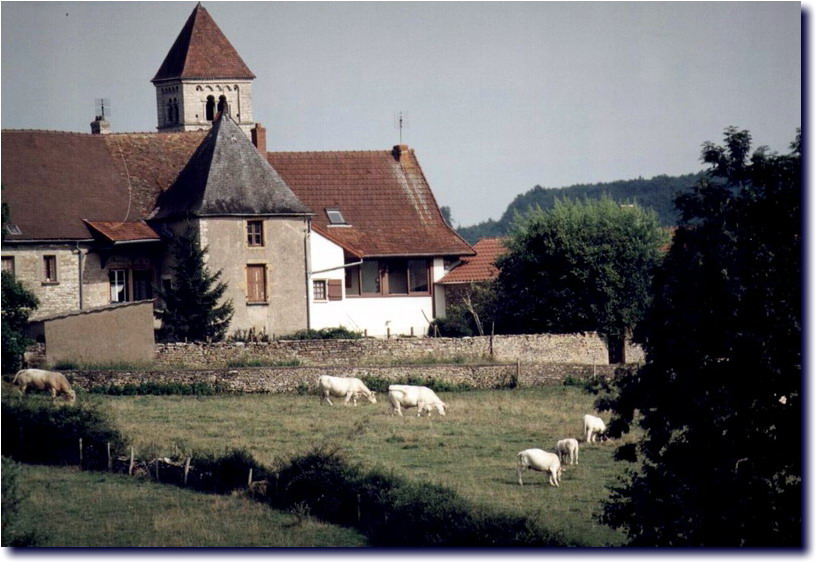 Image-214.jpg