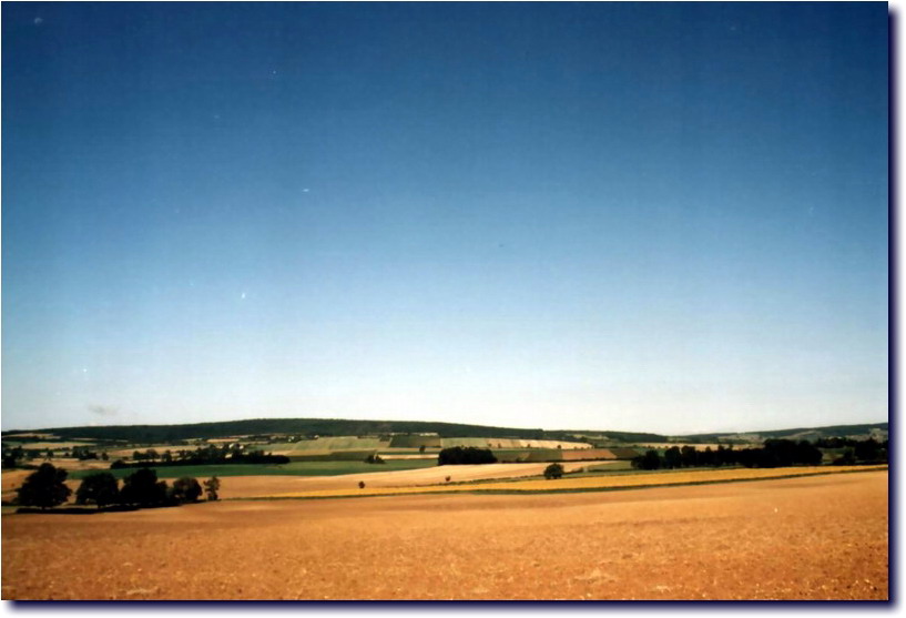 Image-220.jpg