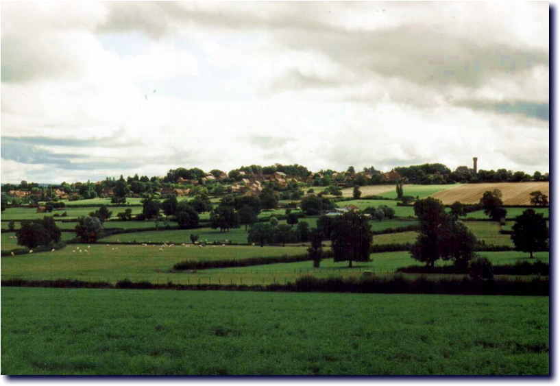 Image-221.jpg