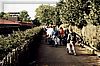 Image-159.jpg