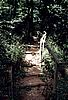 Image-171.jpg