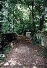 Image-174.jpg