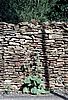 Image-187.jpg