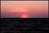 IMG_2536-1.jpg