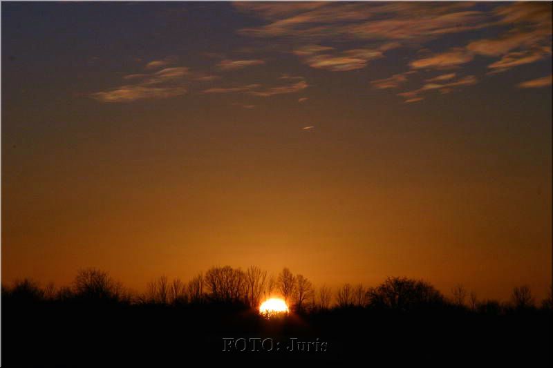 IMG_3898-d.jpg