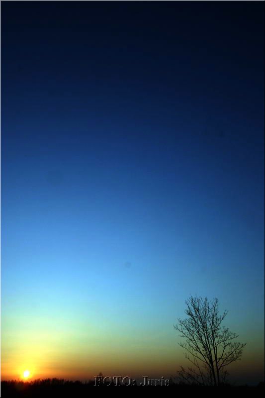 IMG_4214-1.jpg