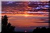 IMG_5957-1.jpg