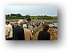 IMG_8631-1.jpg