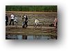 IMG_8639-1.jpg