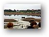 IMG_8643-1.jpg