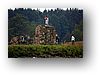 IMG_8648-1.jpg