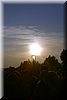 IMG_1790.jpg