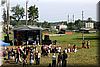 IMG_1898.jpg