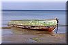 IMG_9126-1.jpg