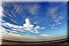 IMG_9154-1.jpg